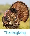 Thanksgiving